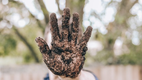 Gezamenlijk schooltuinenproject Almere en Amsterdam bij Floriade Expo 2022