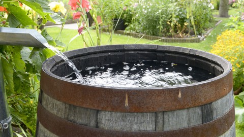 Met een regenton vang je regenwater op voor hergebruik.