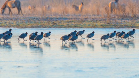 Wandelen en fietsen door de natuur