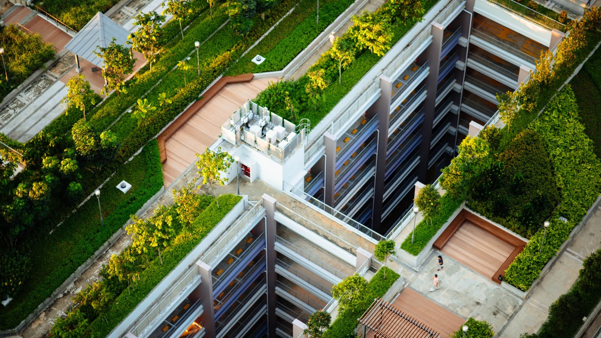 Groene daken in Almere