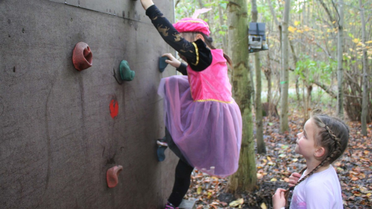 Sinterklaas kinderfeestje met survival piet