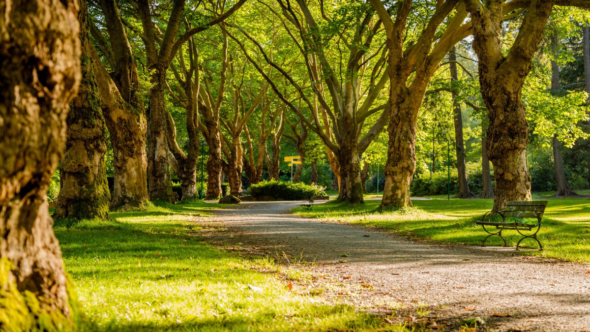 Natuurexcursie in het Vroege Vogelbos