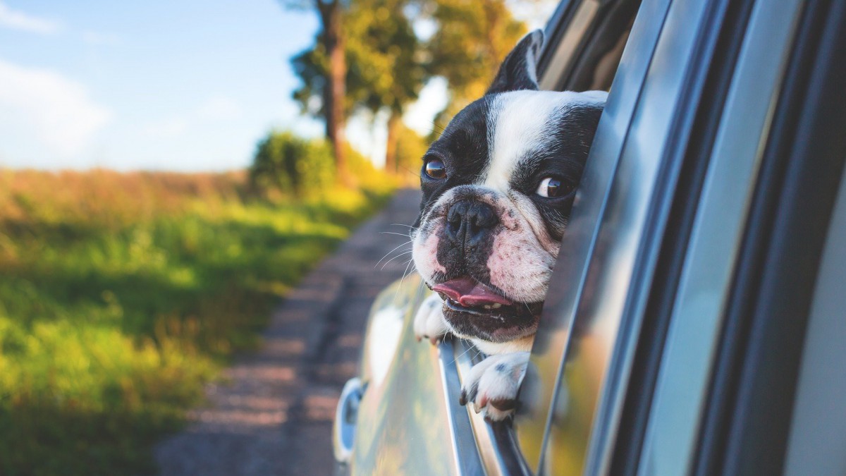3 Tips voor een soepelere autovakantie