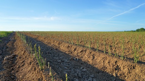 PAS-melders binnen flevoland