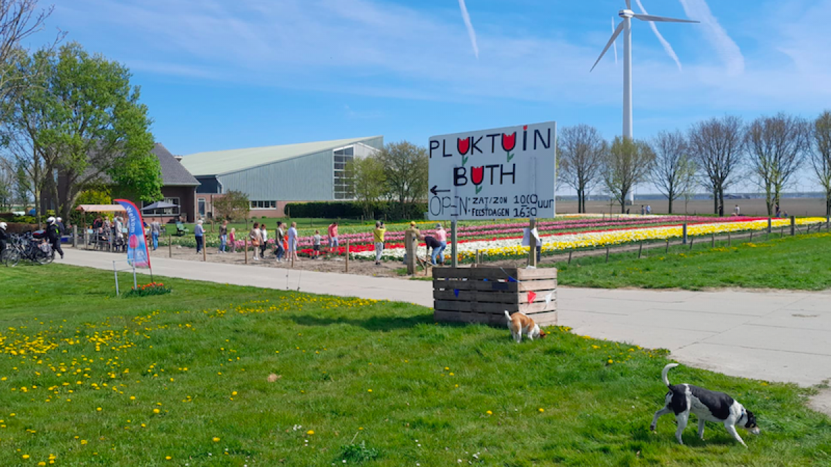 Geniet van de bloemen maar behandel ze met respect