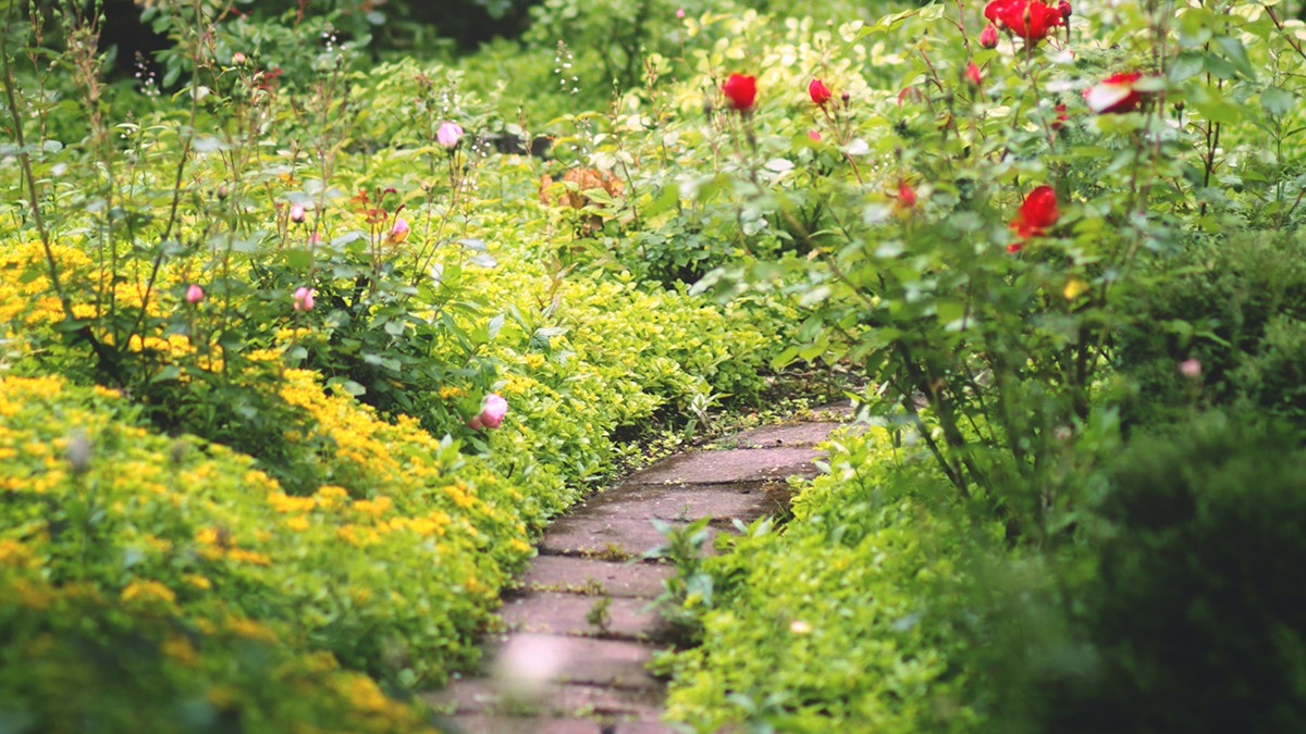 Open Tuinenroute in Nobelhorst