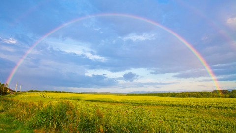 Hoe ontstaan regenbogen?