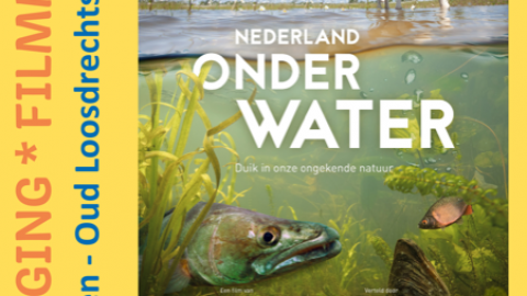 Ontdek Nederland onder water