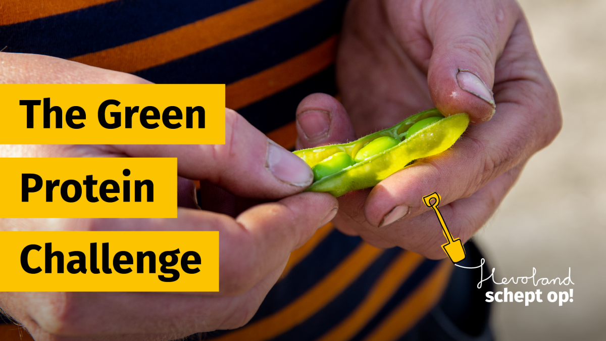 The Green Protein Challenge