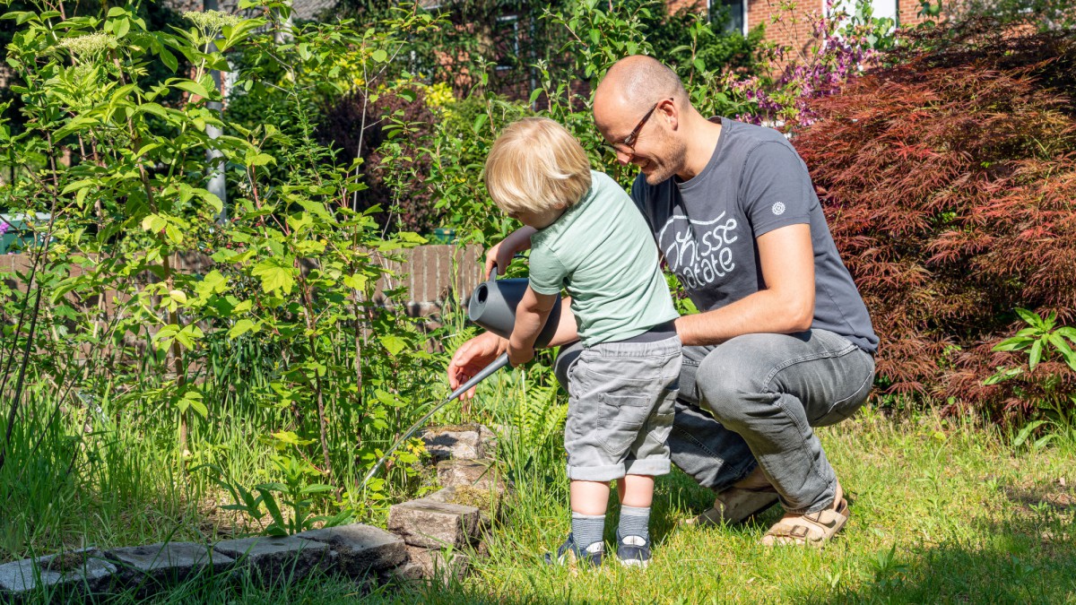 Provincie moedigt Flevolanders aan om tuin groener te maken