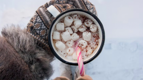 Warme kerst chocolademelk