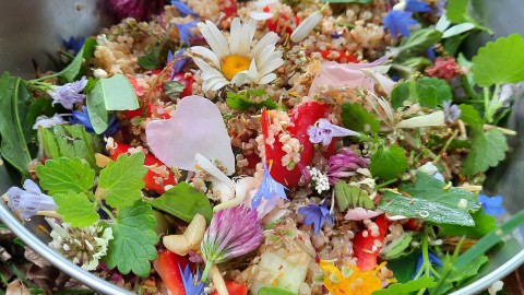 Zomerse quinoasalade met eetbare wilde planten