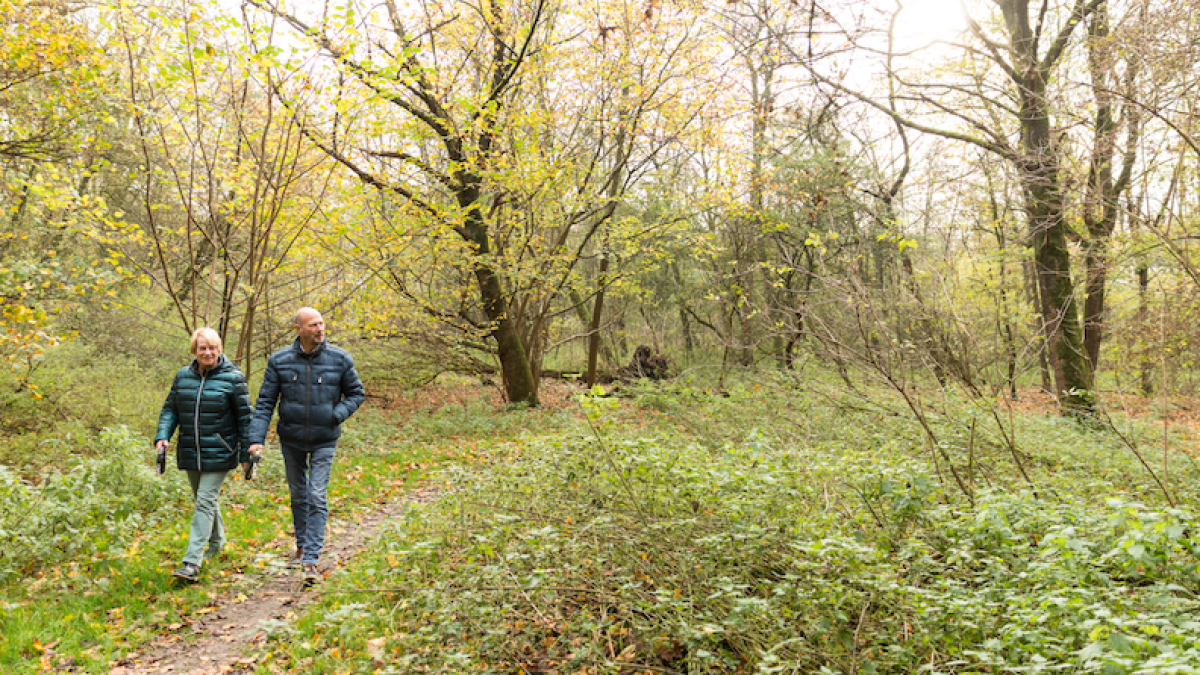 Kom in beweging in de Almeerse natuur