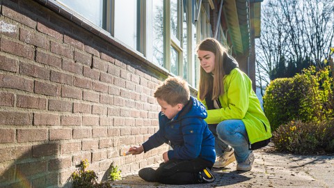 Basisschoolleerlingen in Flevoland ontdekken stoepplanten tijdens Nationale Buitenlesdag