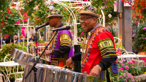 Caribische Week in junglepark de Orchideeën Hoeve