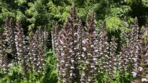 Meer buitenkunst in Almere dankzij Floriade