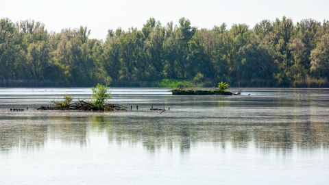 Herstel vogeleilanden Lepelaarplassen start in augustus 