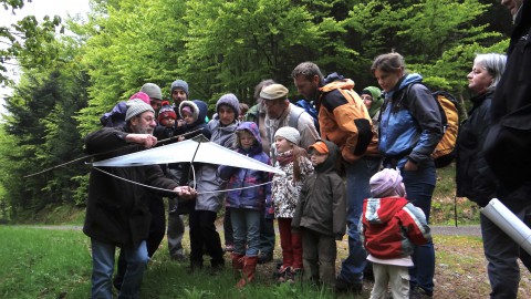 Zes natuurfeestjes in Flevoland tijdens Fête de la Nature