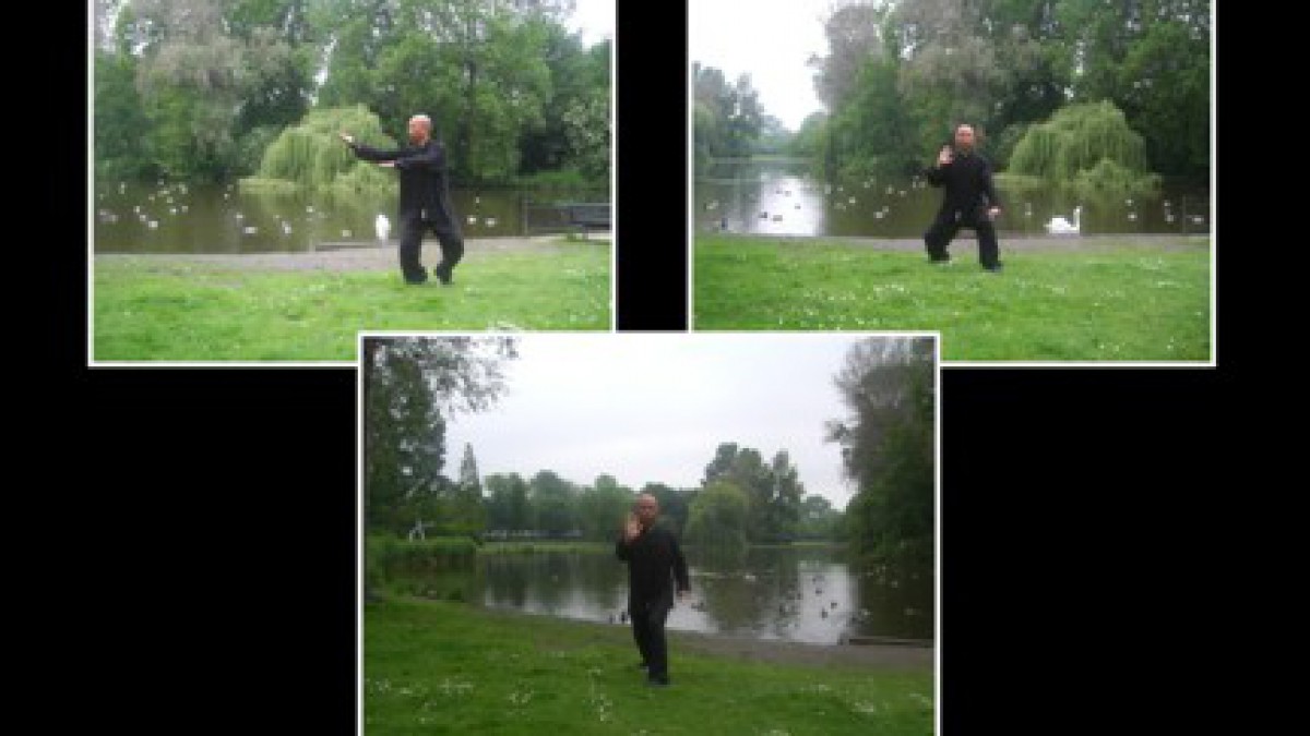 Iedere zaterdag Tai Chi in Almere Buiten