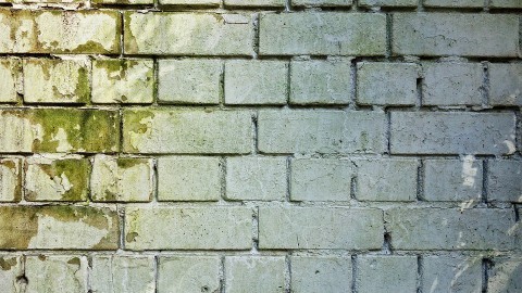 Goede Stede renoveert woning met hardnekkige schimmel