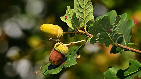 Herfstvakantie bij Stad & Natuur