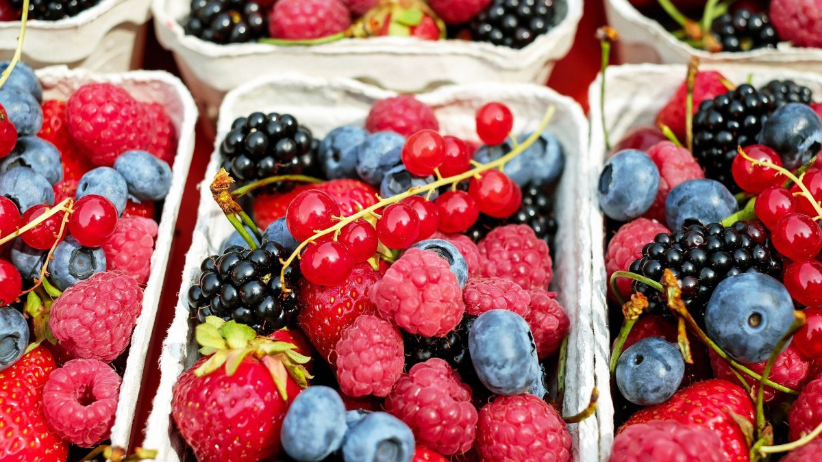 Smaackmakers wil eten in centrum gezonder maken