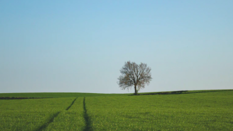 Flevoland biedt zich aan als dé ontwikkelregio