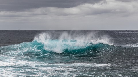 Wereld Oceanendag