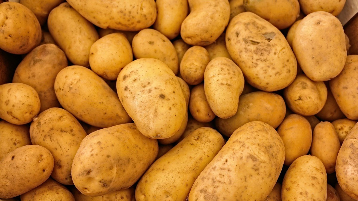 650 miljoen voor aanvullende maatregelen agrarische sector op noodpakket