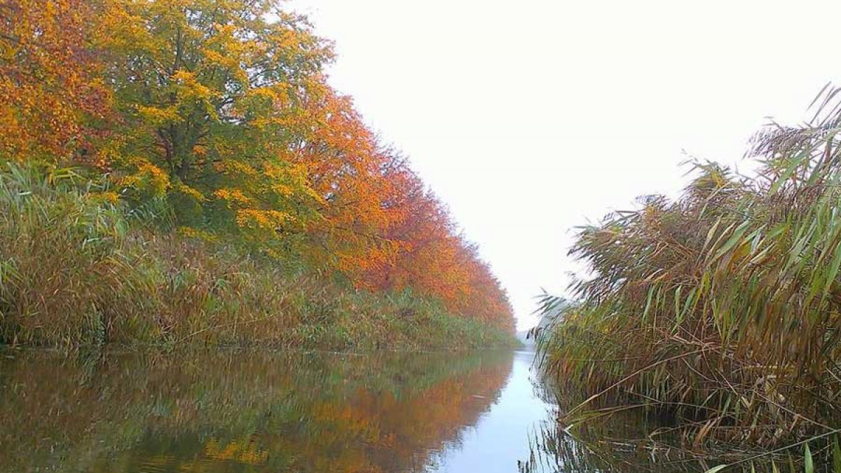 Wandeldagen in het Almeerderhout