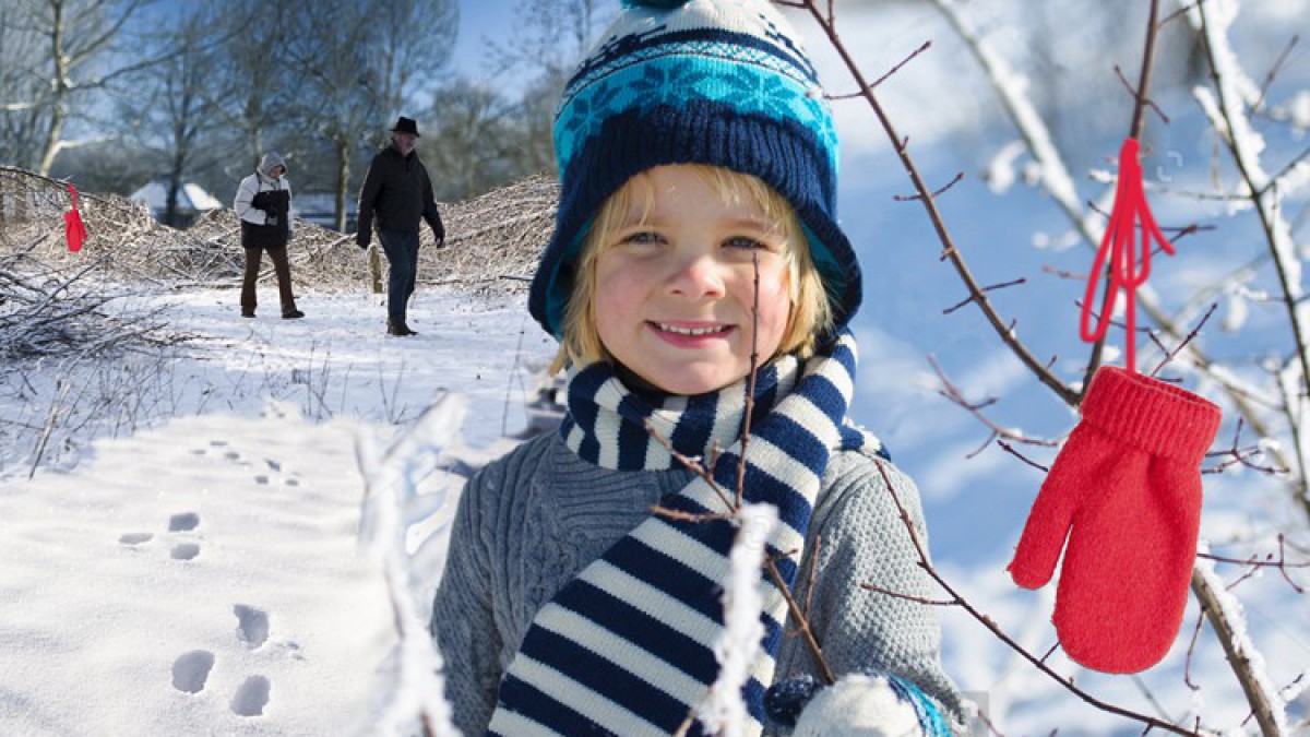 Stad & natuur staat bol van vakantie-activiteiten!
