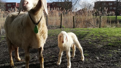 Volop lente bij Stad & Natuur