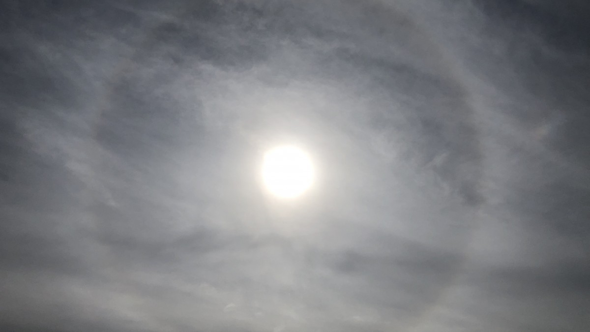 Eerst zon, later toenemende bewolking met kans op een bui.