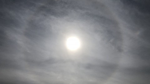 Eerst zon, later toenemende bewolking met kans op een bui.