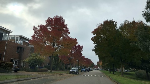 Rustig en licht wisselvallig herfstweer.