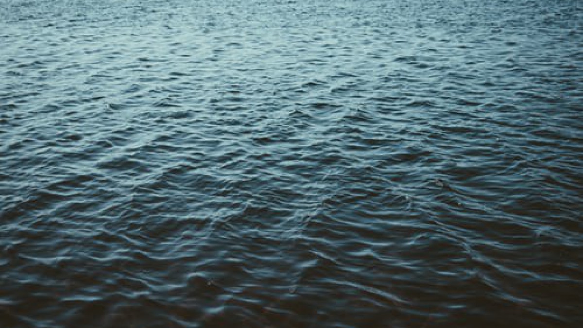 Almere op Scherp: Waterlanders