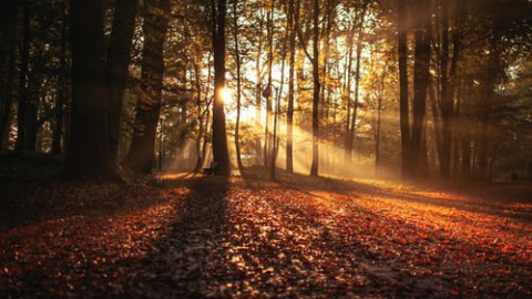 Aankomend weekend is het heerlijk herfstweer 