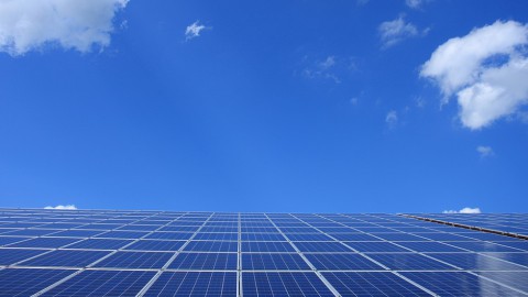 Groene stroom op de bodem van de Zuiderzee