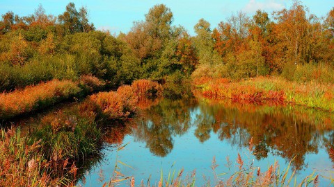 ‘Ontwikkel De Voortuin naar sportief parklandschap’