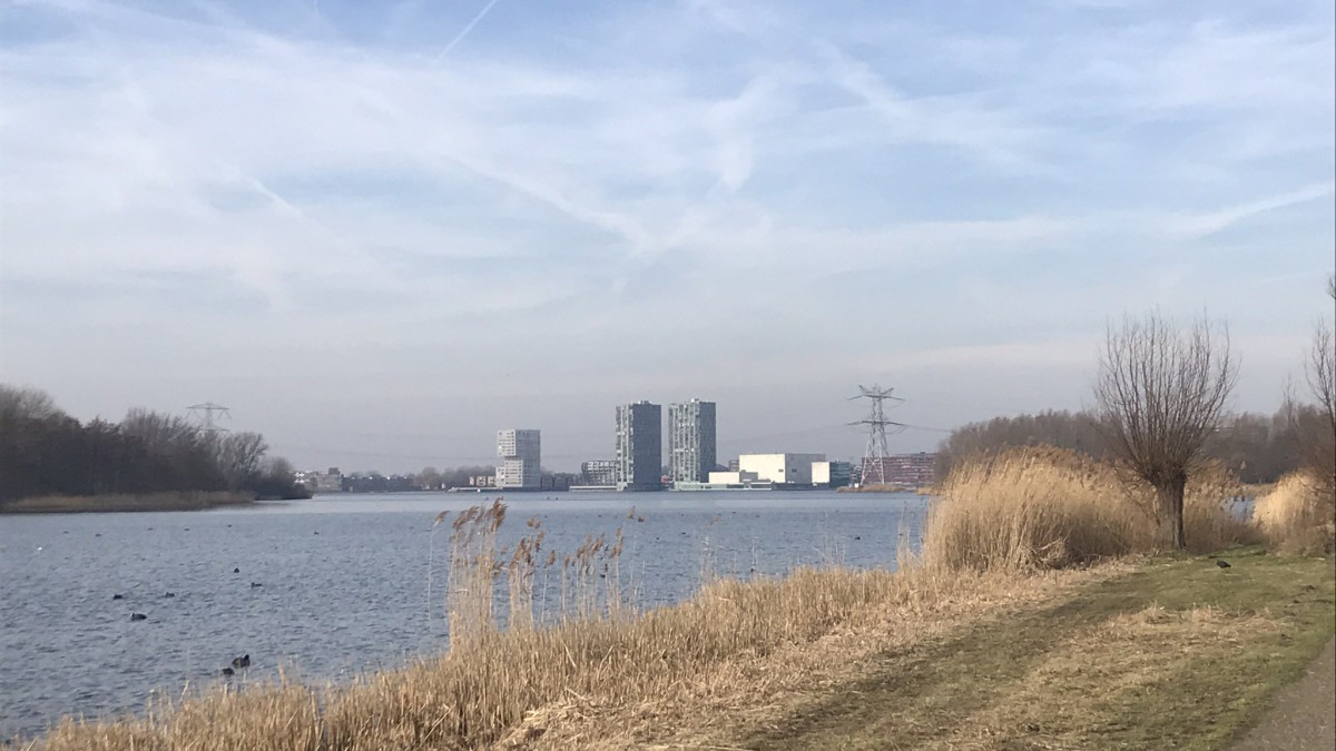 Wordt jachthaven Haddock woonwijk of groene haven?