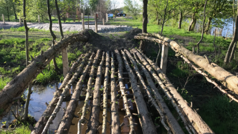 Levende brug op Floriade 2022 groeit gestaag door