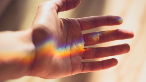 Gemeente heeft gisteren de regenboogvlag en transgendervlag gehesen