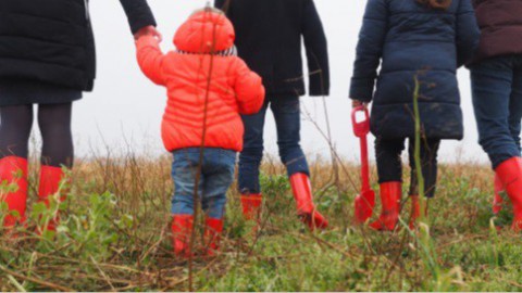 Ministerie heeft zich bemoeid met onderzoek kindertoeslag Belastingdienst