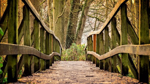 Voedselwandeling Stadslandgoed de Kemphaan  