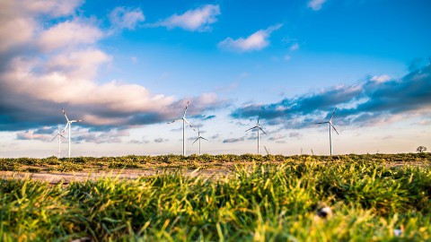 Flevoland is niet heel gevoelig voor droogte