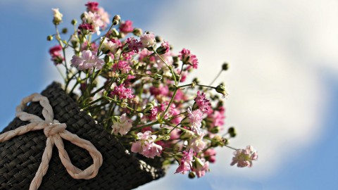 Morgen is er Luilak bloemenmarkt op Stadhuisplein!