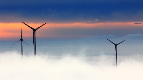 Geen detectiesysteem voor vogels op windmolens