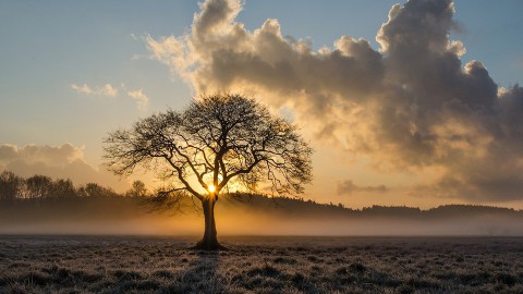 Eerst dichte mist, maar ook nog zon. In de loop van de dag meer bewolking. Droog