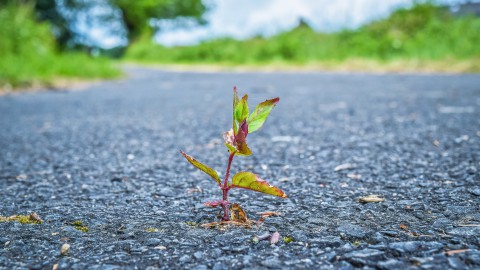 Strooizoutsite drukbezocht tijdens hitte