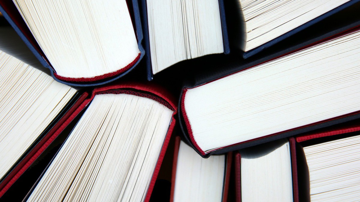 Boek: De eieren van Fabregas